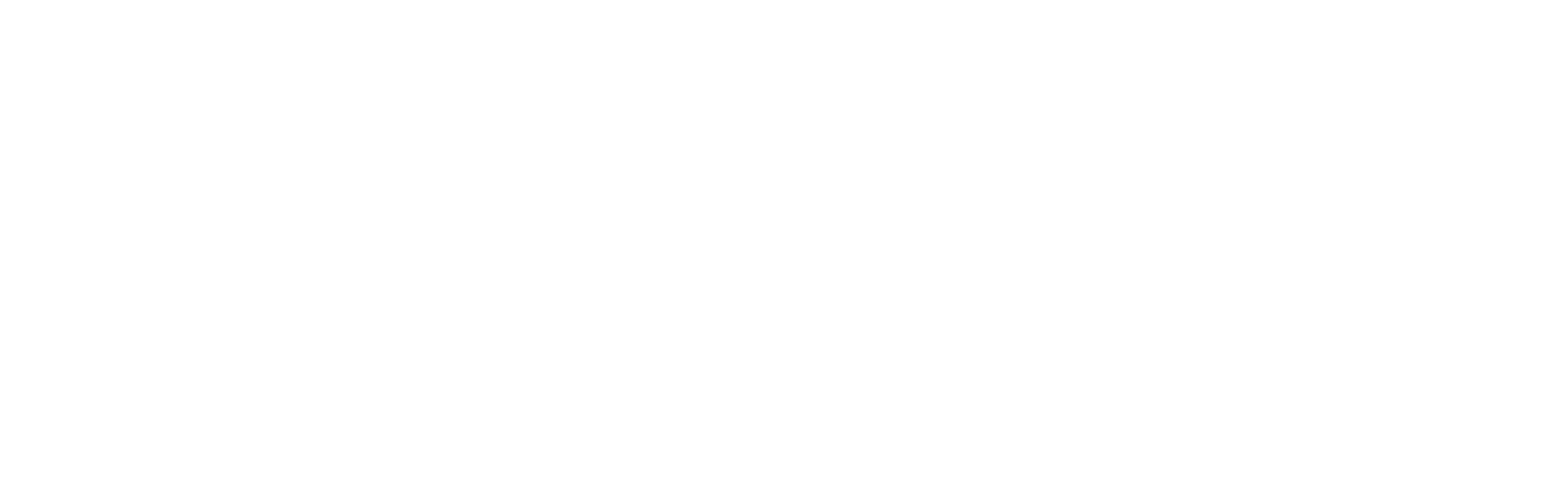 WM-logo-white